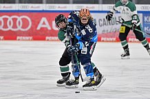 Eishockey, Frauen, European Womens Hockey League, Saison 2024-2025, ERC Ingolstadt - Lakers Kärnten, 13.09.2024