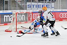 Eishockey, Herren, DEL, Saison 2023-2024, Spieltag 45, ERC Ingolstadt - Fischtown Pinguins, 27.02.2024