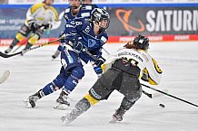 Eishockey, Frauen, DFEL, Saison 2021-2022, ERC Ingolstadt - Mad Dogs Mannheim, 23.10.2021