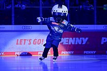 Eishockey, Herren, DEL, Saison 2025-2026, Spiel 43, ERC Ingolstadt - Schwenninger Wild Wings, 25.01.2026