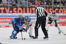 Eishockey, Herren, DEL, Saison 2024-2025, Spieltag 36, ERC Ingolstadt - Kölner Haie, 12.01.2025