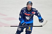 Eishockey, Herren, DEL, Saison 2024-2025, Spieltag 36, ERC Ingolstadt - Kölner Haie, 12.01.2025