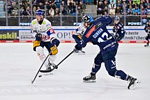Eishockey, Herren, DEL, Saison 2024-2025, Spieltag 41, ERC Ingolstadt - Eisbären Berlin, 26.02.2025