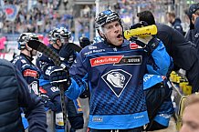 Eishockey, Herren, DEL, Saison 2024-2025, Spieltag 8, ERC Ingolstadt - Grizzlys Wolfsburg, 11.10.2024