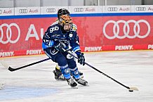 Eishockey, Frauen, DFEL, Saison 2024-2025, ERC Ingolstadt - Mad Dogs Mannheim, 23.11.2024