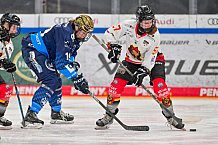 Eishockey, Frauen, DFEL, Saison 2024-2025, ERC Ingolstadt - EC Bergkamener Bären, 05.01.2025