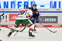 Eishockey, Herren, DEL, Saison 2024-2025, Spieltag 15, ERC Ingolstadt - Augsburger Panther, 03.11.2024