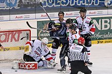 ERC Ingolstadt - Koelner Haie, Eishockey, DEL, Deutsche Eishockey Liga, Spieltag 16, 01.11.2015