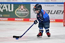 Eishockey, Herren, DEL, Saison 2023-2024, ERC Ingolstadt - Kids on Ice Day, 30.09.2023