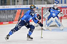 Eishockey, Frauen, DFEL, Saison 2023-2024, ERC Ingolstadt - EC Bergkamener Bären, 28.10.2023