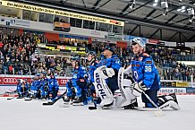 Eishockey, Herren, DEL, Saison 2025-2026, Spiel 16, ERC Ingolstadt - Kölner Haie, 31.10.2025