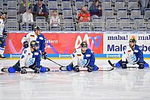 Adler Mannheim vs ERC Ingolstadt, Eishockey, DEL, Deutsche Eishockey Liga, Spieltag 28, 16.12.2018