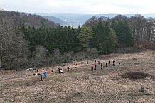 Eishockey, Herren, DEL, Saison 2023-2024, ERC Ingolstadt - Baumpflanzaktion, 03.03.2024