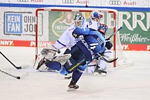 Eishockey, Herren, DEL, Saison 2020-2021, ERC Ingolstadt - Schwenninger Wild Wings, 19.01.2021