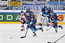 Eishockey, Mens, CHL, Season 2023-2024, ERC Ingolstadt - Växjö Lakers, 10.10.2023
