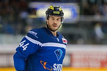 ERC Ingolstadt  - Grizzlys Wolfsburg, Eishockey, DEL, Deutsche Eishockey Liga, Spieltag 37, 13.01.2017