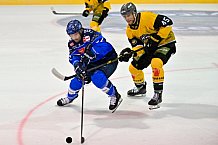 Eishockey, Herren, DEL, Saison 2026-2027, ERC Ingolstadt - HC Falkensteiner Pustertal, 21.08.2026
