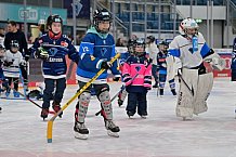 Eishockey, Herren, DEL, Saison 2024-2025, ERC Ingolstadt - Kids On Ice Day, 11.01.2025