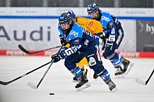 Eishockey, Frauen, DFEL, Saison 2025-2026, Testspiel, ERC Ingolstadt - HC Davos, 14.02.2026