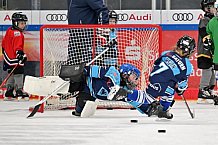 Eishockey, Herren, DEL, Saison 2022-2023, ERC Ingolstadt - Kids On Ice Day, 14.01.2023
