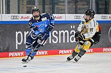Eishockey, Frauen, DFEL, Saison 2023-2024, ERC Ingolstadt - Mad Dogs Mannheim, 18.02.2024