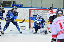 Eishockey, Frauen, DFEL, Saison 2023-2024, ERC Ingolstadt - ECDC Memmingen Indians, 21.01.2024