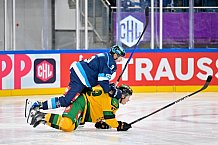 Hockey, Mens, CHL, Season 2025-2026, Regular Season, Game Day 1, ERC Ingolstadt - Ilves Tampere, 28.08.2025