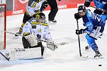 Eishockey, Frauen, DFEL, Saison 2020-2021, ERC Ingolstadt - Mad Dogs Mannheim, 30.01.2021