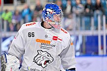Eishockey, Herren, DEL, Saison 2024-2025, Spieltag 48, ERC Ingolstadt - Nürnberg Ice Tigers, 23.02.2025