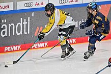 Eishockey, Frauen, DFEL, Saison 2022-2023, ERC Ingolstadt - Mad Dogs Mannheim, 20.11.2022