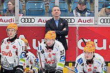 Eishockey, Herren, DEL, Saison 2023-2024, Spieltag 45, ERC Ingolstadt - Fischtown Pinguins, 27.02.2024