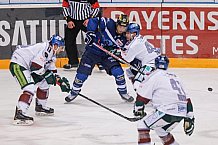 ERC Ingolstadt vs Augsburger Panther, Eishockey, DEL, Deutsche Eishockey Liga, Spieltag 46, 10.02.2017