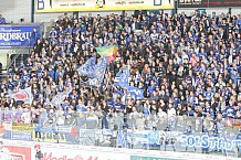ERC Ingolstadt - Straubing Tigers, Eishockey, DEL, Deutsche Eishockey Liga, Spieltag 8, 04.10.2015

