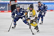 Eishockey, Frauen, DFEL, Saison 2021-2022, ERC Ingolstadt - Mad Dogs Mannheim, 23.10.2021