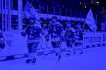 Eishockey, Herren, DEL, Saison 2025-2026, Spiel 43, ERC Ingolstadt - Schwenninger Wild Wings, 25.01.2026