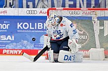 Eishockey, Herren, DEL, Saison 2024-2025, Spieltag 17, ERC Ingolstadt - Adler Mannheim, 17.11.2024