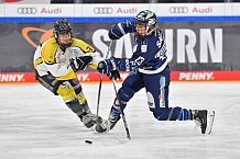 Eishockey, Frauen, DFEL, Saison 2021-2022, ERC Ingolstadt - Mad Dogs Mannheim, 24.10.2021