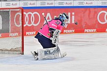 Eishockey, Frauen, DFEL, Saison 2021-2022, ERC Ingolstadt - ECDC Memmingen Indians, 21.11.2021