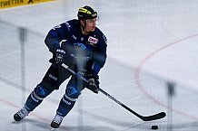 ERC Ingolstadt - Adler Mannheim, Eishockey, DEL, Deutsche Eishockey Liga, Spieltag 47, 24.02.2016