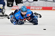 Eishockey, Herren, DEL, Saison 2025-2026, Spiel 47, ERC Ingolstadt - Nürnberg Ice Tigers, 01.03.2026