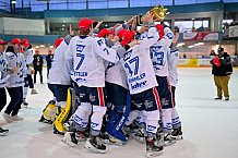 Eishockey, Herren, U20 DNL, Saison 2025-2026, Finale - Spiel 3, ERC Ingolstadt - Jungadler Mannheim, 04.04.2026