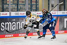 Eishockey, Frauen, DFEL, Saison 2024-2025, ERC Ingolstadt - Mad Dogs Mannheim, 23.11.2024