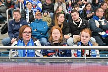 Eishockey, Herren, DEL, Saison 2024-2025, Spieltag 42, ERC Ingolstadt - Kölner Haie, 31.01.2025