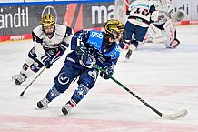 Eishockey, Frauen, DFEL, Saison 2025-2026, ERC Ingolstadt - Eisbären Berlin, 18.01.2026