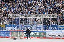 Eishockey, Herren, DEL, Saison 2024-2025, Spieltag 35, ERC Ingolstadt - Augsburger Panther, 10.01.2025