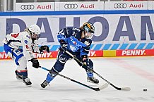Eishockey, Frauen, DFEL, Saison 2023-2024, ERC Ingolstadt - ESC Planegg-Würmtal, 26.11.2023