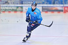 Eishockey, Herren, DEL, Saison 2024-2025, Spieltag 15, ERC Ingolstadt - Augsburger Panther, 03.11.2024