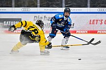 Eishockey, Herren, U20 DNL, Saison 2025-2026, ERC Ingolstadt - Krefeld Pinguine, 10.01.2026