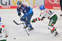 Eishockey, Herren, DEL, Saison 2024-2025, Spieltag 35, ERC Ingolstadt - Augsburger Panther, 10.01.2025