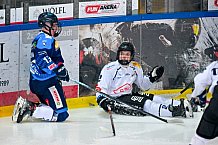 Eishockey, Herren, U20 DNL, Saison 2025-2026, Viertelfinale - Spiel 2, ERC Ingolstadt - ESC Dresden, 08.03.2026